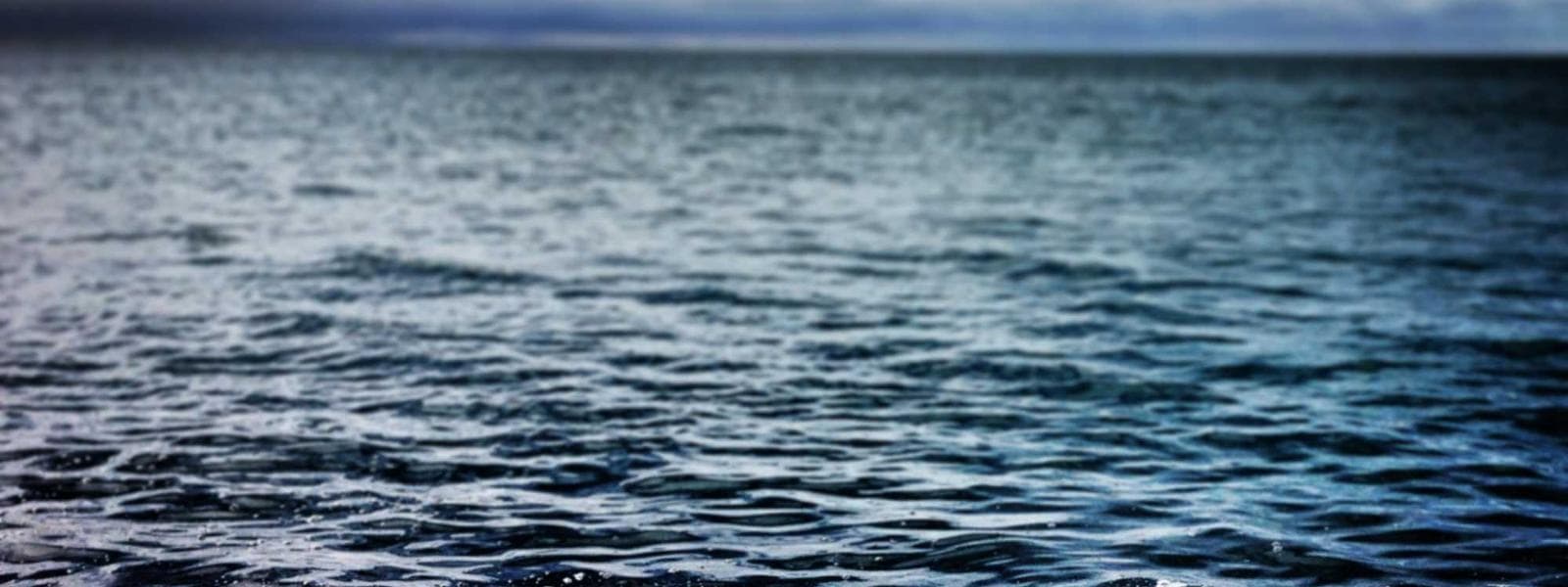 Rehavia Garden Maisonette backdrop