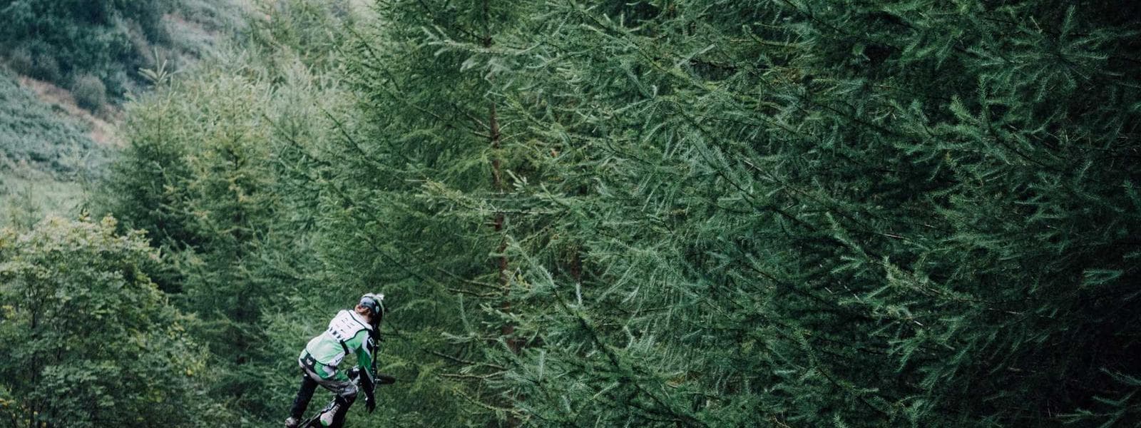 Emek Refaim Family Home backdrop