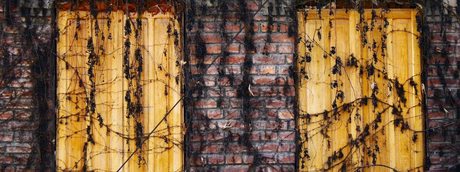 Talbiya Classical Apartment backdrop